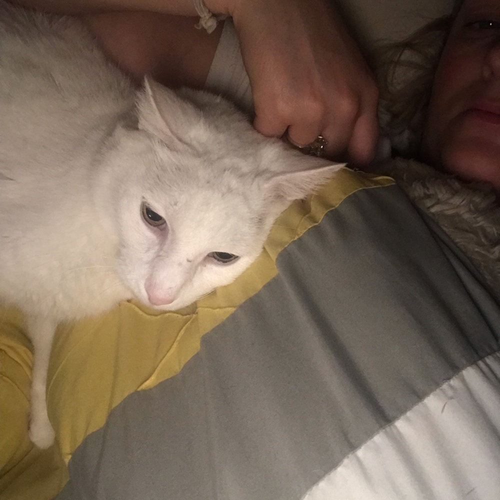 Meet your Posher, Kattie